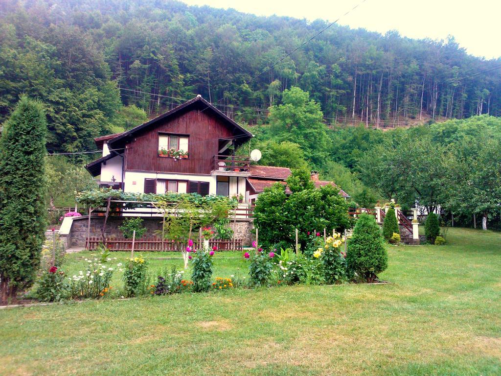 Villa Lalka Ribarica Esterno foto